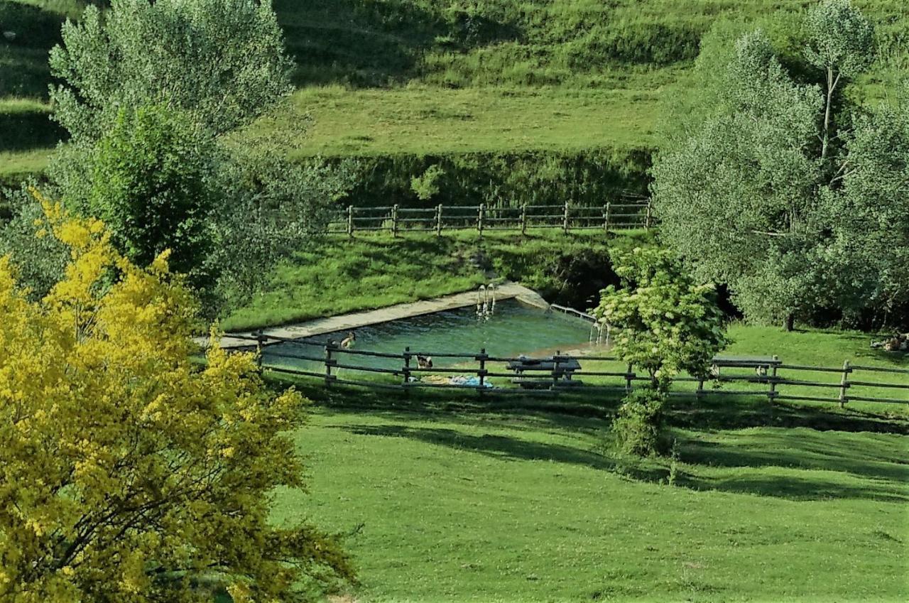 Casa Rural El Pinar Affittacamere Acebedo Esterno foto